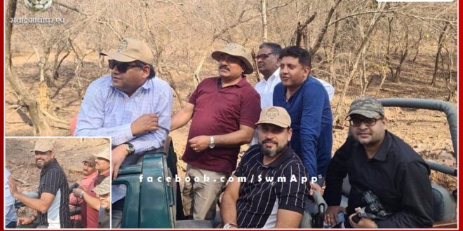 Cricketer Yusuf Pathan visited Ranthambore National Park in sawai madhopur