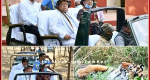 Governor Kalraj Mishra was delighted to see tigers in Ranthambore National Park
