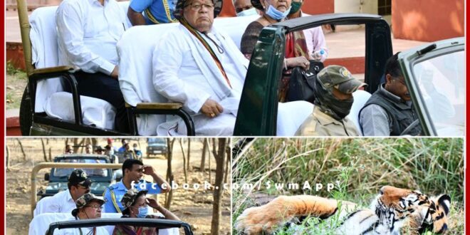 Governor Kalraj Mishra was delighted to see tigers in Ranthambore National Park