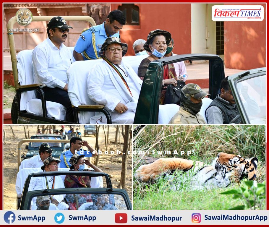 Governor Kalraj Mishra was delighted to see tigers in Ranthambore National Park