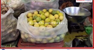 Lemon squeezed people's juice, With the increase in heat, the prices of lemons also increase in sawai madhopur