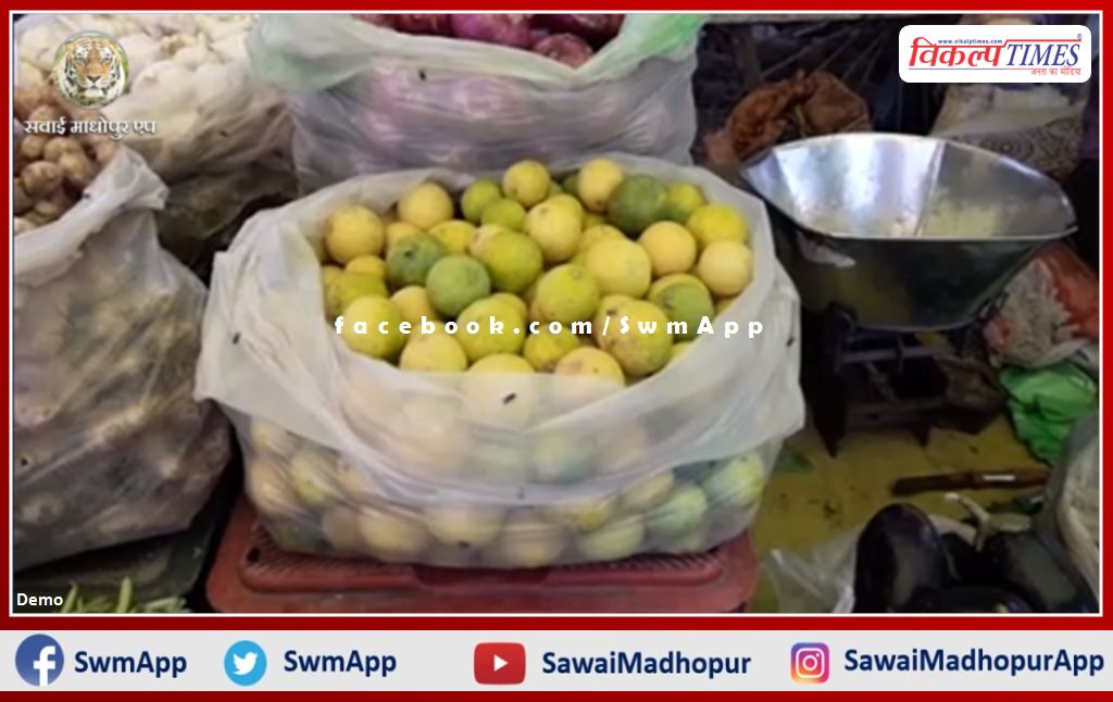 Lemon squeezed people's juice, With the increase in heat, the prices of lemons also increase in sawai madhopur
