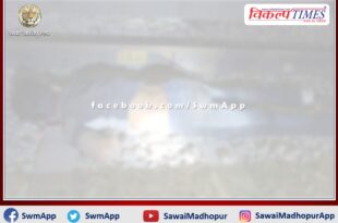 One brother died after being hit by a goods train and the other narrowly escaped in gangapur city sawai madhopur