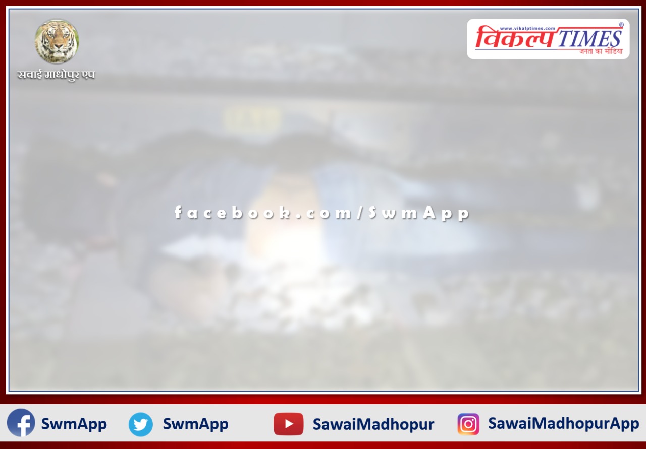 One brother died after being hit by a goods train and the other narrowly escaped in gangapur city sawai madhopur