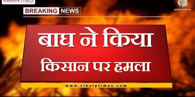 tiger attacked farmer in khandar sawai madhopur