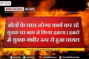 tiger attacked the youth doing NREGA work near the fields, Youth seriously injured in attack in khandar