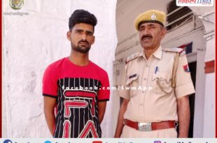 A tractor-trolley seized while transporting illegal gravel, driver arrested in khandar sawai madhopur