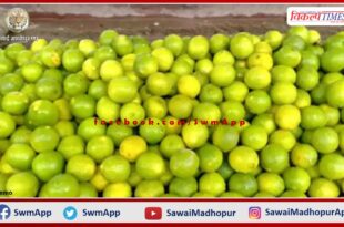 After petrol and diesel, now the price of lemon is on the seventh sky in india