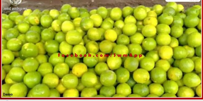 After petrol and diesel, now the price of lemon is on the seventh sky in india