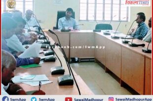 CEO instructed to complete development works on time with quality in sawai madhopur