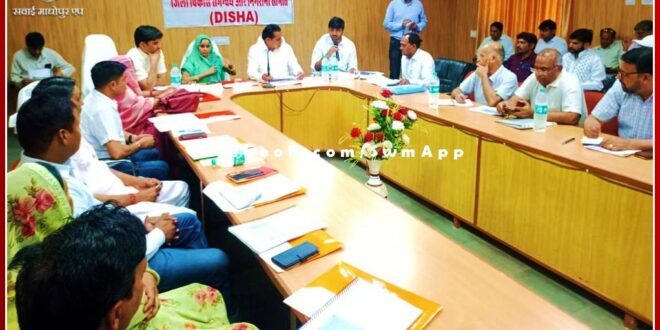 MP sukhbir singh Jaunapuria took the meeting of District Development, Coordination and Monitoring (Disha) Committee in sawai madhopur