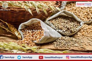 Portal to add name to NFSA will start after two years in rajasthan
