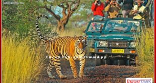 Traveling in Ranthambore Park becomes expensive, 10% increase in Tiger Reserve Development Fund
