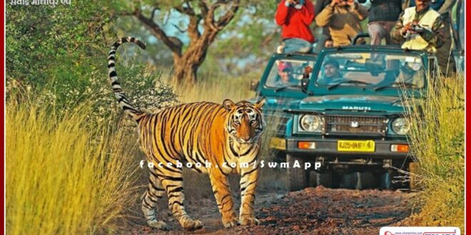Traveling in Ranthambore Park becomes expensive, 10% increase in Tiger Reserve Development Fund