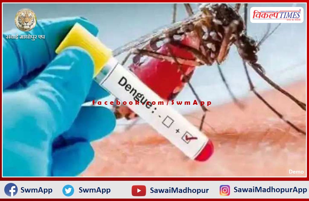 Anti-dengue campaign will run in the sawai madhopur from today to May 15