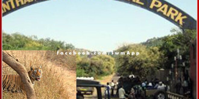 Case for carrying food, drink and plastic bottles in Ranthambore Tiger Reserve in sawai madhopur