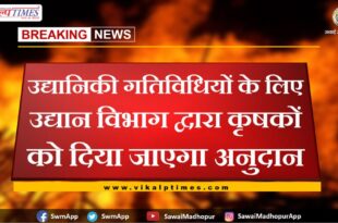 Horticulture activities will be given by the Horticulture Department to the farmers in sawai madhopur