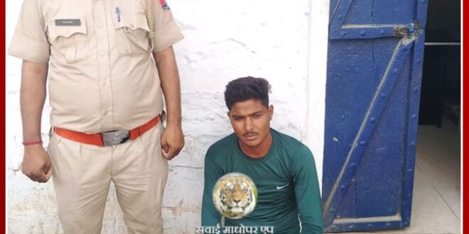 Illegal gravel-laden tractor-trolley owner arrested in sawai madhopur