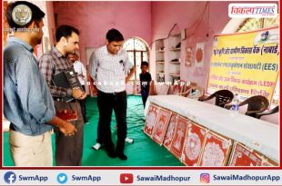 Mandana Kala Aajeevika Development Program concludes in sawai madhopur