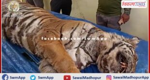 Ranthambore's tigress T-61 died in ranthambore national pak