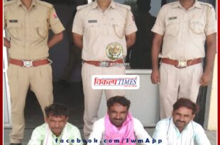 Three pickups filled with illegal wood seized, driver arrested in sawai madhopur