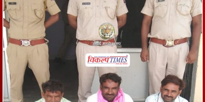 Three pickups filled with illegal wood seized, driver arrested in sawai madhopur