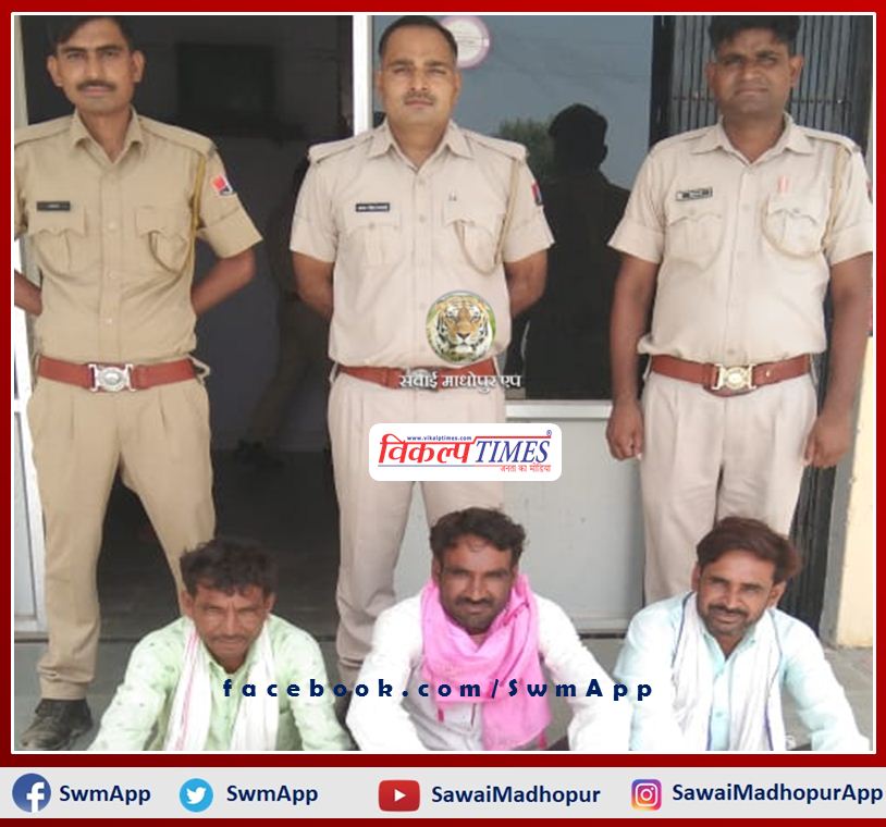 Three pickups filled with illegal wood seized, driver arrested in sawai madhopur