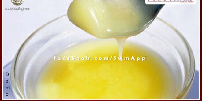 188 liters of Ghee seized under Shuddha ke liye Yuddh Abhiyan in sawai madhopur