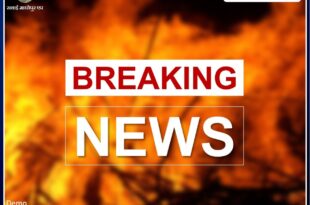 Due to unknown reasons, fire broke out in bamboo trees on Tonk - Sawai Madhopur highway