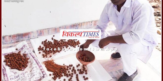 Nature will be enriched with seed ball, after rain the plants themselves will be ready