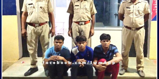 Police arrested vicious accused of temple theft in malarna dungar sawai madhopur