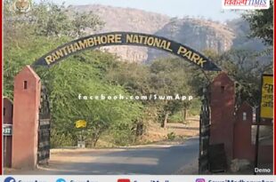 Section 144 implemented to stop illegal grazing in Ranthambore national park