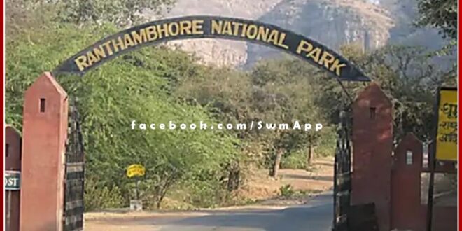 Section 144 implemented to stop illegal grazing in Ranthambore national park