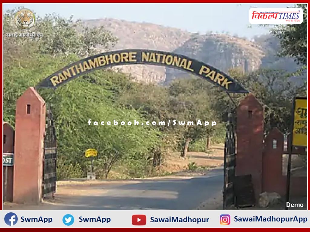 Section 144 implemented to stop illegal grazing in Ranthambore national park