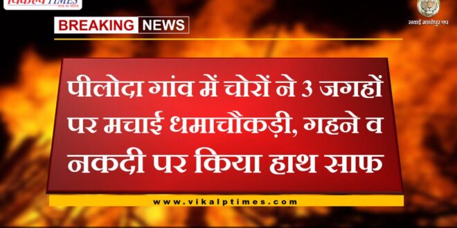 Thieves created a ruckus at 3 places in Piloda village