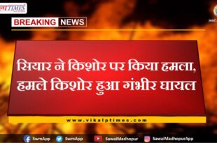 jackal attacked teenager in sawai madhopur