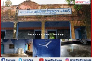 Broken strips of the building of Government Primary School Sankli sawai madhopur