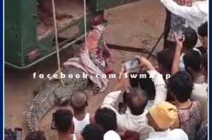 Crocodile came out of Ranthambore forest
