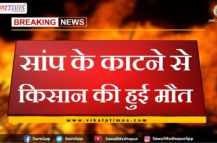 Farmer dies due to snake bite in khandar