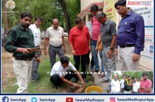 Junior Assistant Kirodi Lal Meena celebrated birthday by planting saplings in sawai madhopur