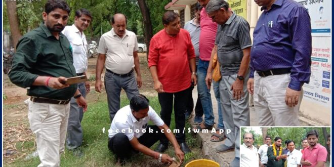 Junior Assistant Kirodi Lal Meena celebrated birthday by planting saplings in sawai madhopur