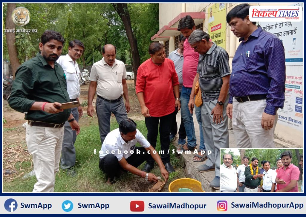 Junior Assistant Kirodi Lal Meena celebrated birthday by planting saplings in sawai madhopur
