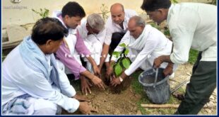 Plantation done in public places in sawai madhopur