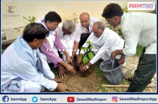 Plantation done in public places in sawai madhopur