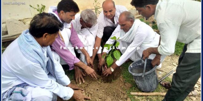Plantation done in public places in sawai madhopur