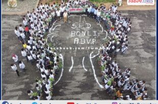 Plantation done through Vidyarthi for Development (SFD) in Bonli