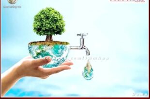 Sawai Madhopur ranks second in giving water relation in Jal Jeevan Mission