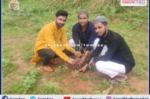 Syed Foundation planted saplings in public places in malarna dungar
