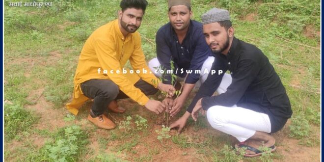 Syed Foundation planted saplings in public places in malarna dungar