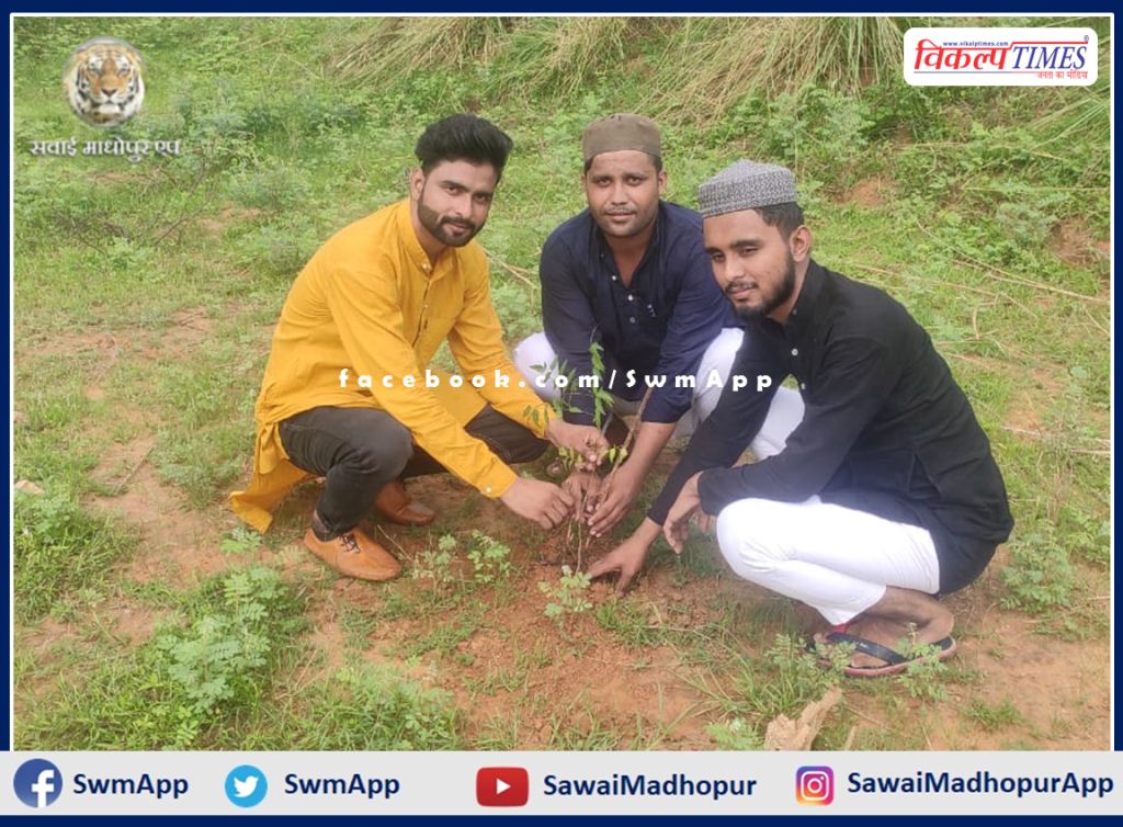 Syed Foundation planted saplings in public places in malarna dungar
